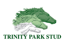 Trinity Park Stud